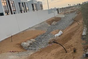 Villas Project, Naryal Island – Abu Dhabi  with Freiburg